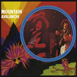 Avalanche precio