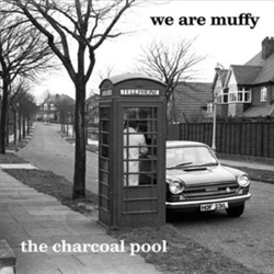 The charcoal pool características