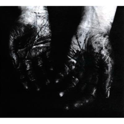 The Commandments According to Scac precio