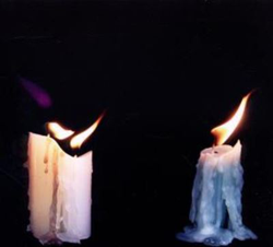 Golden Worry en oferta