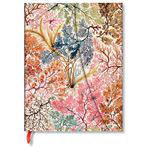 Libreta Paperblanks Anémonas Ultra pautado precio