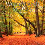 Calendario de pared 2020 Gifted 30 x 30 Woodland Scenes precio