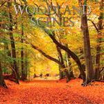 Calendario de pared 2020 Gifted 30 x 30 Woodland Scenes