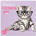 Calendario de pared 2020 Erik 30x30 multilingüe Studio Pets Perfect Kittens - Gatitos características