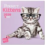 Calendario de pared 2020 Erik 30x30 multilingüe Studio Pets Perfect Kittens - Gatitos
