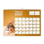 Calendario 2020 de pared Miquelrius A3 Perros & gatos precio
