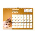 Calendario 2020 de pared Miquelrius A3 Perros & gatos
