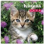 Calendario de pared 2020 Erik 30x30 multilingüe Cat-Kittens Simon K. & Greg C. en oferta