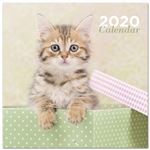 Calendario 2020 30x30 Chantrenne Cat