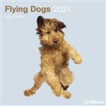 Calendario de pared 2021 Tenues flying dogs