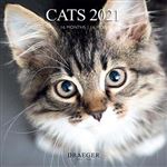 Calendario 2021 Draeger grande cuadrícula gatos