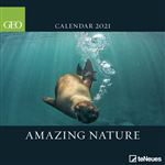 Calendario de pared 2021 Tenues geo amazing nature en oferta