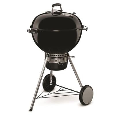 Barbacoa Weber Master Touch GBS