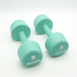 2 Mancuernas de 8 Kg Ziva Chic Studio Turquesa en oferta
