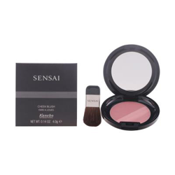 Kanebo - Cheek Blush Ch02 4 gr características
