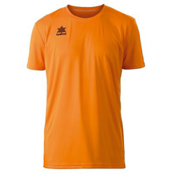 Camiseta Deportiva de Manga Corta Luanvi Pol Naranja Talla: S características