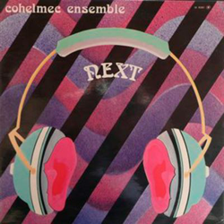 Next - Vinilo características