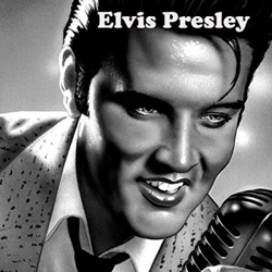 Elvis - Vinilo precio