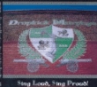 Sing loud sing proud