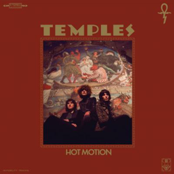 Hot Motion precio