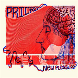New Pleasure - Vinilo características
