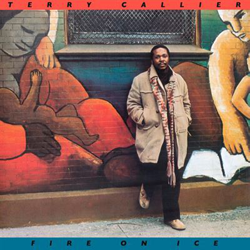 Fire on Ice - Vinilo precio