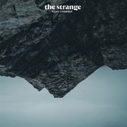Echo Chamber - Vinilo características