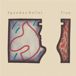 True (Edición vinilo) precio