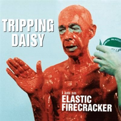 I Am an Elastic Firecracker precio