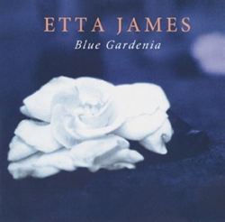 Blue Gardenia en oferta