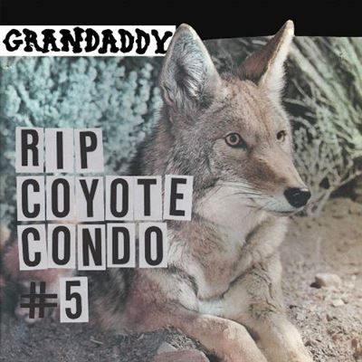 Rip Coyote Condo #5 - Vinilo