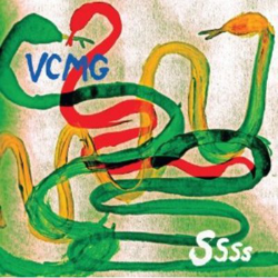 SSSS - Vinilo características