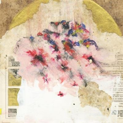 E S T A R A características