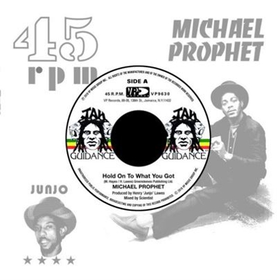 Hold On To What You Got - Vinilo