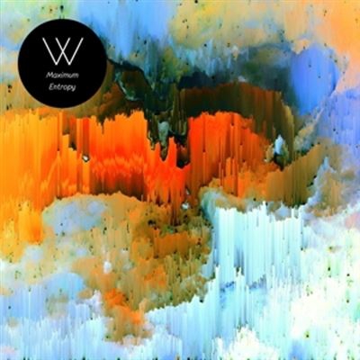 Maximum Entropy - Vinilo