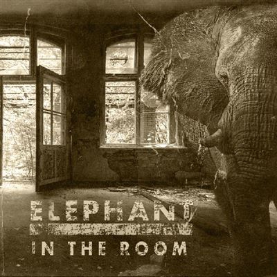 Elephant In The Room - Vinilo