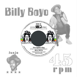 One Spliff A Day - Vinilo características