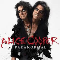 Paranormal - Vinilo características
