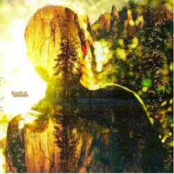 Seefeel - Vinilo precio