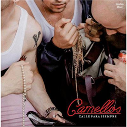 Calle para siempre - Vinilo características