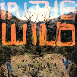 In The Wild - Vinilo características