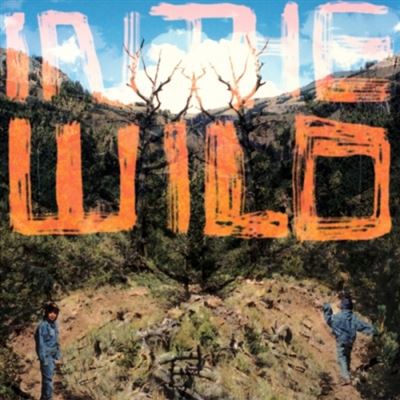 In The Wild - Vinilo