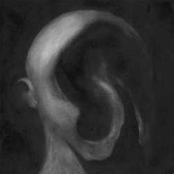 Face características