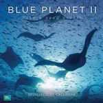 Calendario de pared Erik 2021 BBC Blue Planet precio