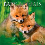 Calendario de pared 2020 Gifted 30 x 30 Baby Animals precio