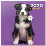 Calendario de pared 2020 Erik 30x30 multilingüe Studio Pets Chantrenne Dog