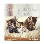 Calendario Tenues 2021 Cats características