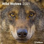 Calendario de pared 2021 Tenues wild wolves precio