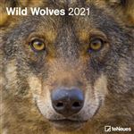 Calendario de pared 2021 Tenues wild wolves