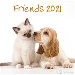 Calendario de pared 2021 Tenues friends precio